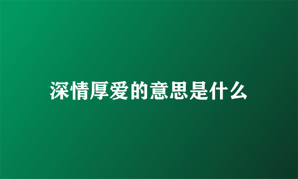 深情厚爱的意思是什么
