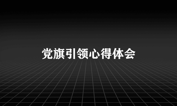 党旗引领心得体会