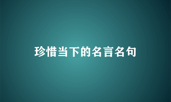 珍惜当下的名言名句
