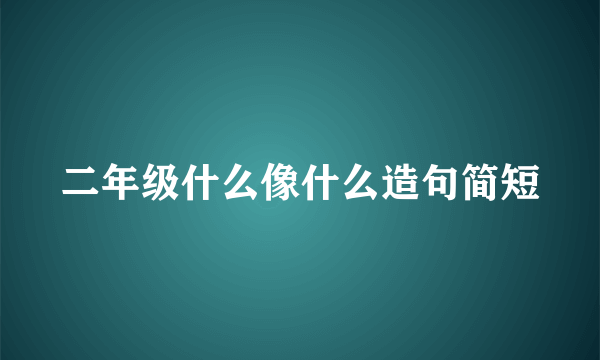 二年级什么像什么造句简短