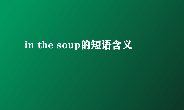 in the soup的短语含义