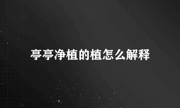 亭亭净植的植怎么解释
