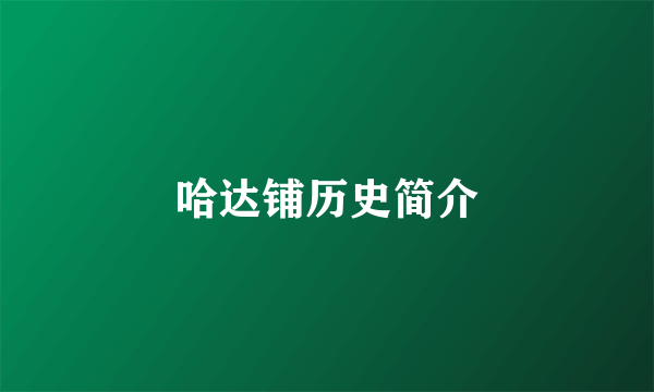 哈达铺历史简介