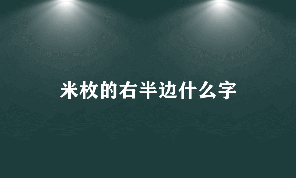 米枚的右半边什么字