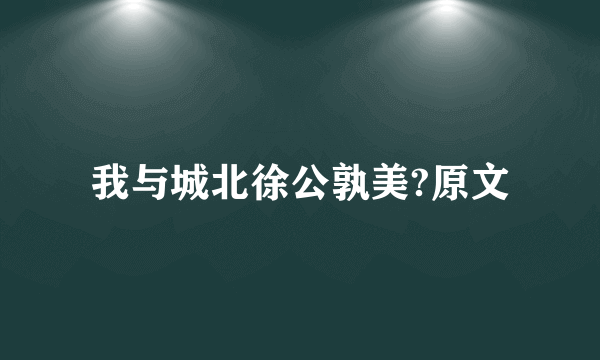 我与城北徐公孰美?原文