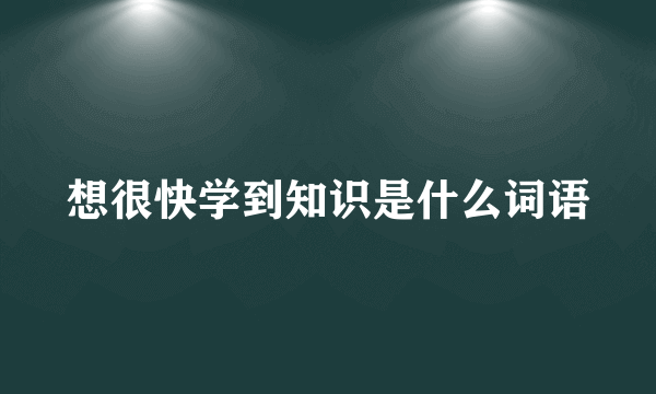 想很快学到知识是什么词语