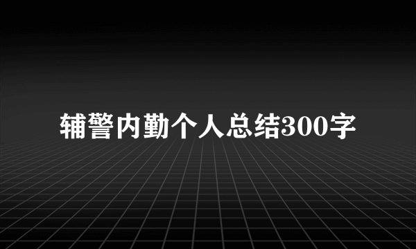 辅警内勤个人总结300字