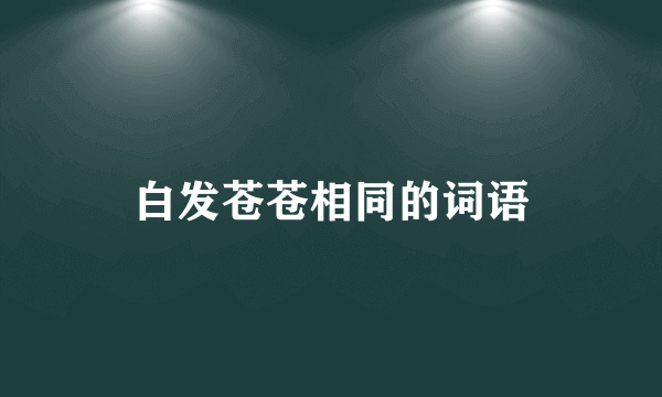 白发苍苍相同的词语