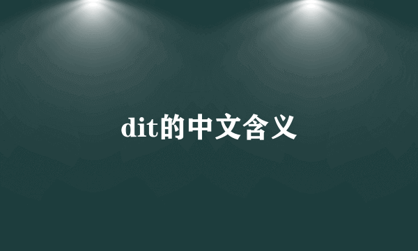 dit的中文含义