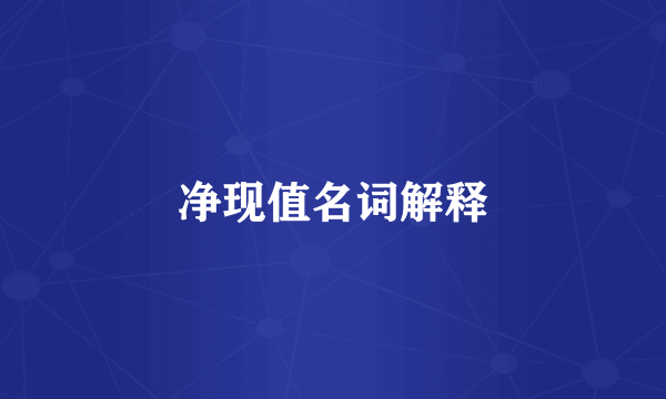净现值名词解释