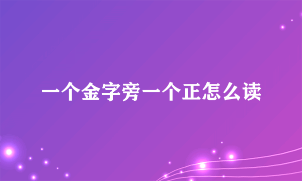 一个金字旁一个正怎么读