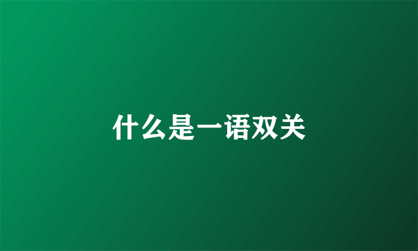 什么是一语双关