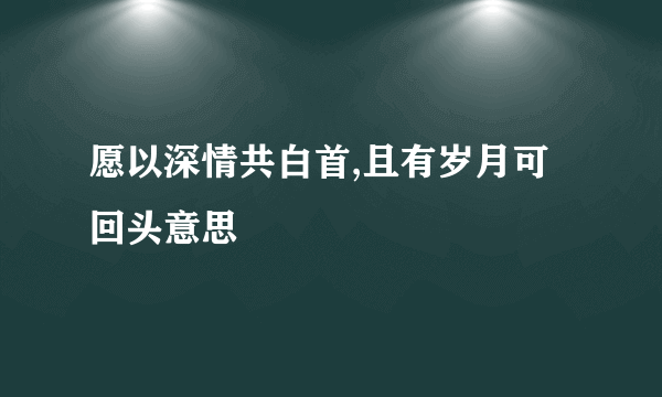 愿以深情共白首,且有岁月可回头意思