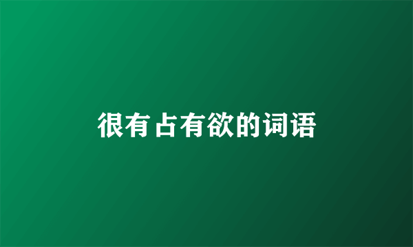 很有占有欲的词语