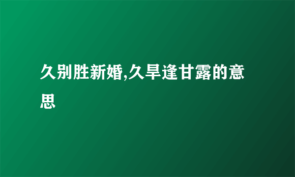 久别胜新婚,久旱逢甘露的意思