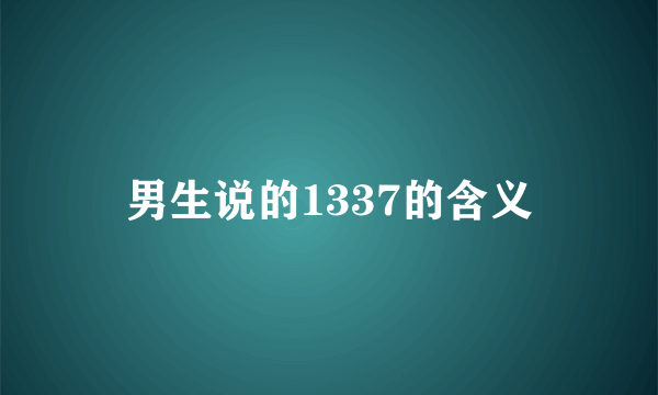 男生说的1337的含义