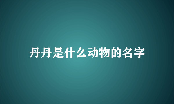 丹丹是什么动物的名字