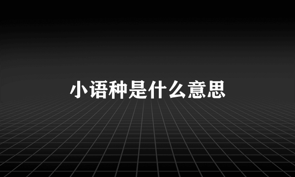 小语种是什么意思