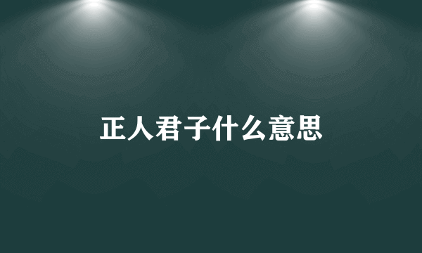 正人君子什么意思