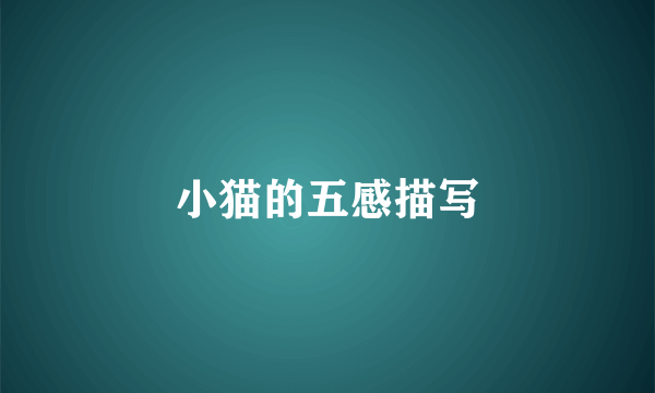 小猫的五感描写