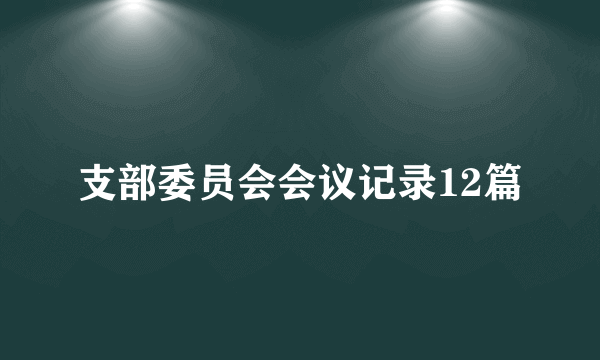 支部委员会会议记录12篇