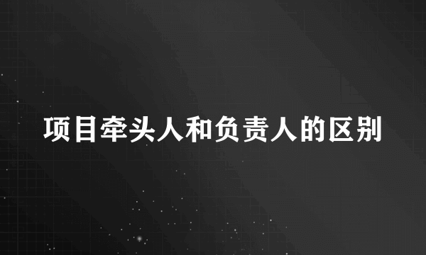 项目牵头人和负责人的区别