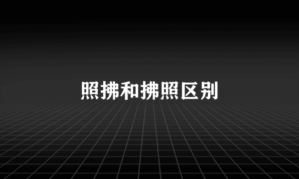 照拂和拂照区别