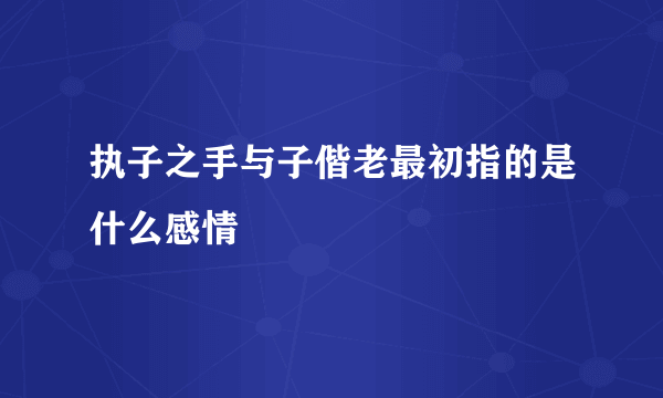 执子之手与子偕老最初指的是什么感情