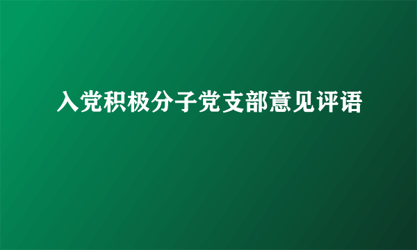 入党积极分子党支部意见评语