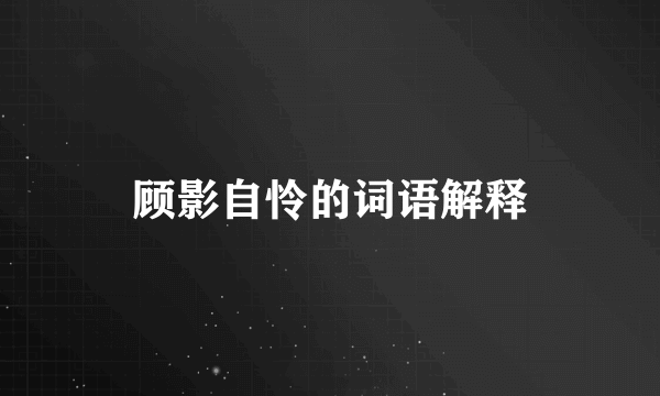 顾影自怜的词语解释