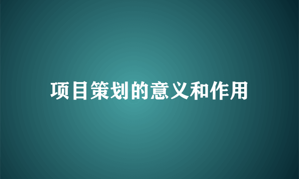 项目策划的意义和作用