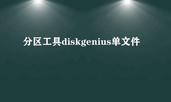 分区工具diskgenius单文件