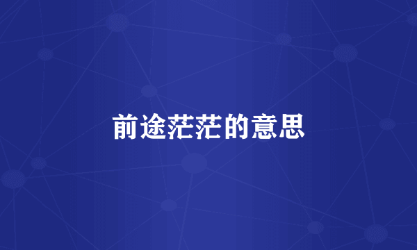 前途茫茫的意思