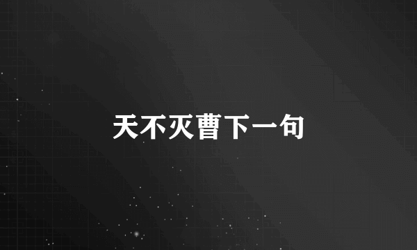 天不灭曹下一句