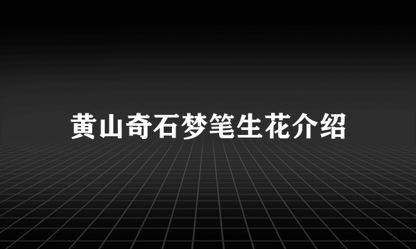 黄山奇石梦笔生花介绍