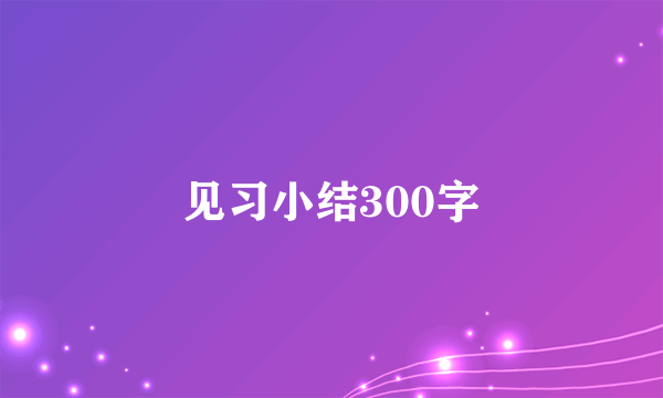 见习小结300字