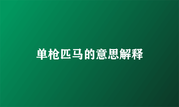 单枪匹马的意思解释