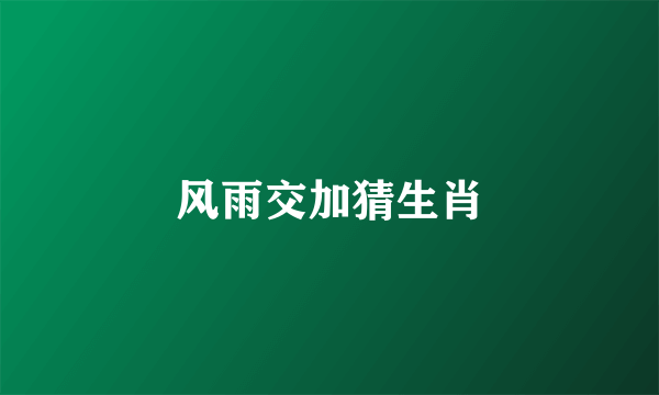 风雨交加猜生肖