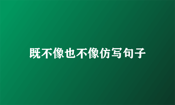 既不像也不像仿写句子