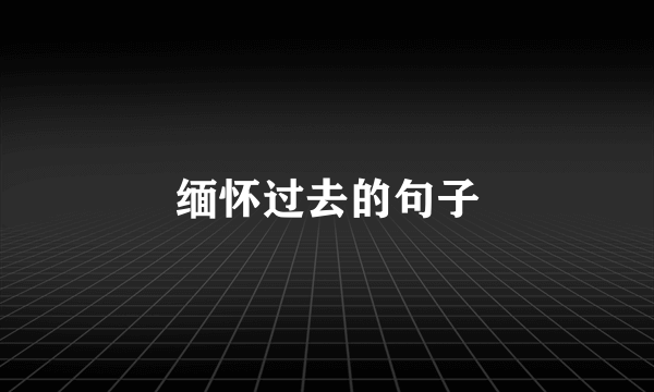 缅怀过去的句子