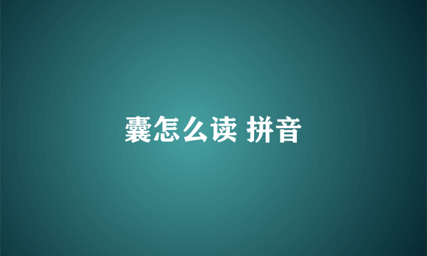 囊怎么读 拼音