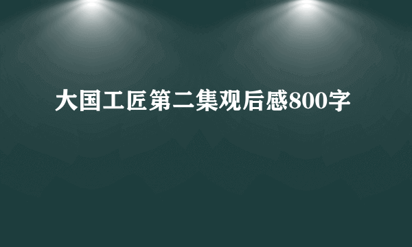 大国工匠第二集观后感800字