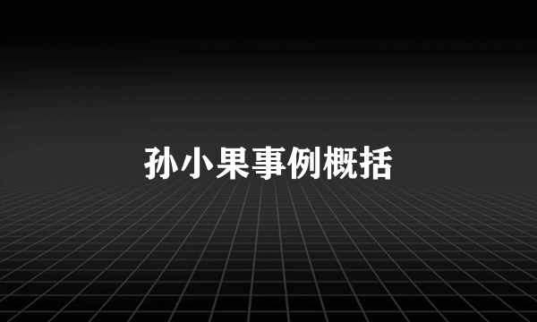 孙小果事例概括