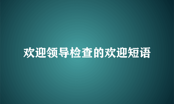 欢迎领导检查的欢迎短语