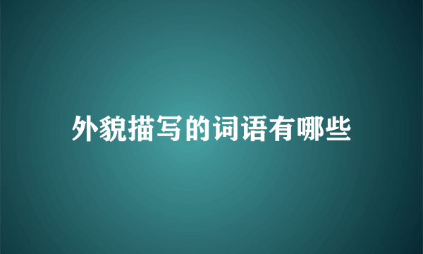 外貌描写的词语有哪些