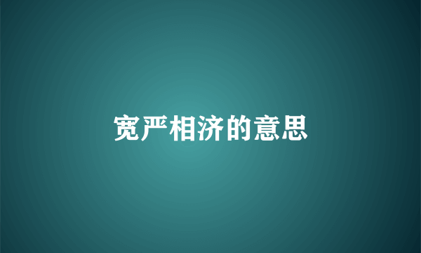 宽严相济的意思