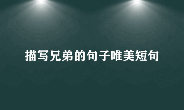 描写兄弟的句子唯美短句
