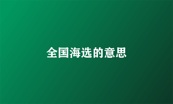 全国海选的意思