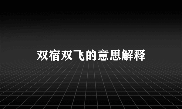 双宿双飞的意思解释