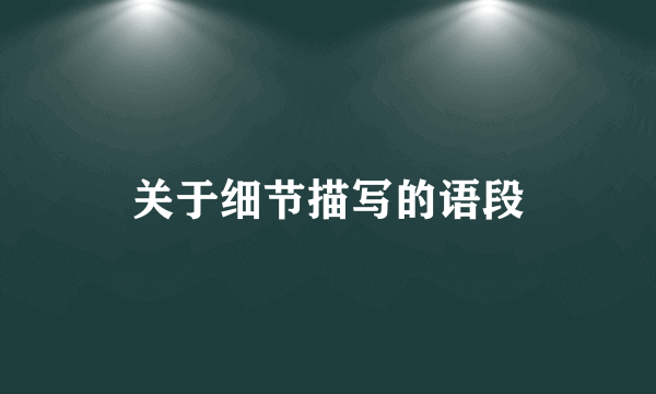 关于细节描写的语段
